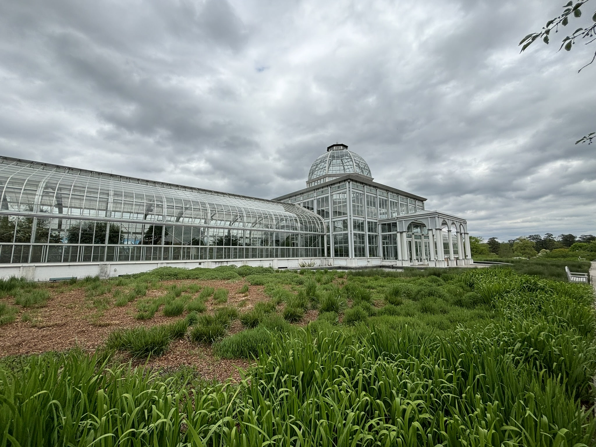 A glass building with a dome, surrounded by green plants.